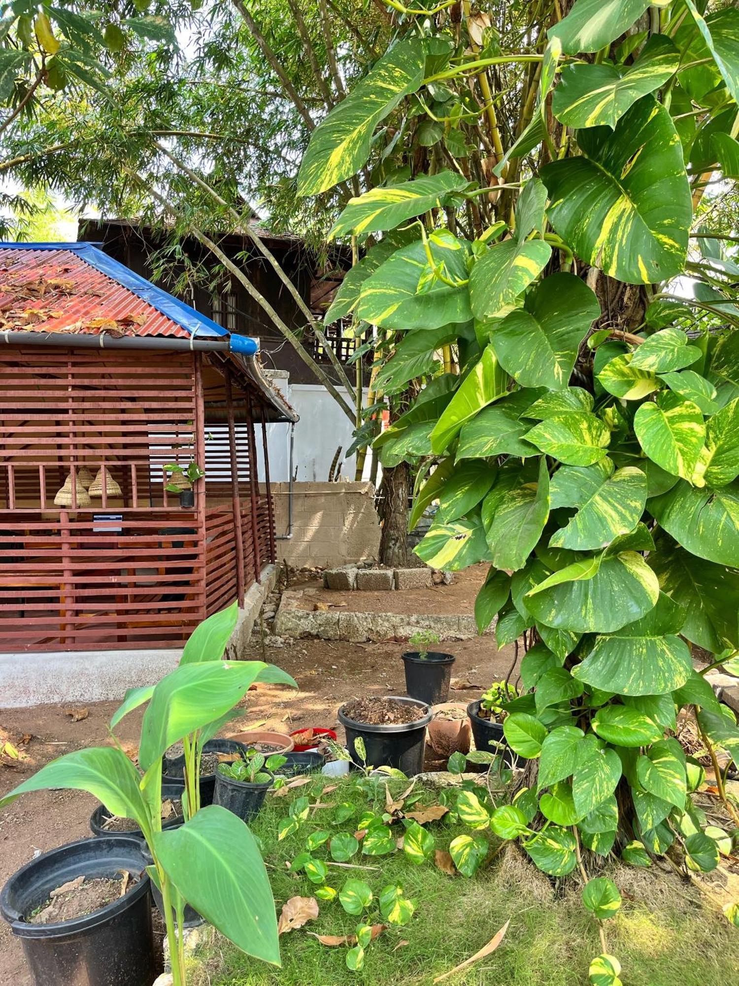 Bava Beach Resort & Retreat Center Варкала Экстерьер фото